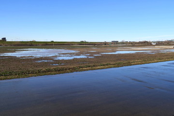 早春の雨上がりの江戸川河川敷風景