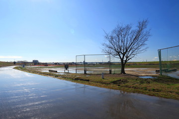雨上がりの早春の江戸川河川敷と濡れた舗道風景