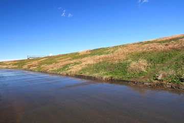 雨上がりの早春の江戸川土手と濡れた舗道風景