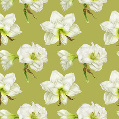 White Hippeastrum flowers in green seamless pattern