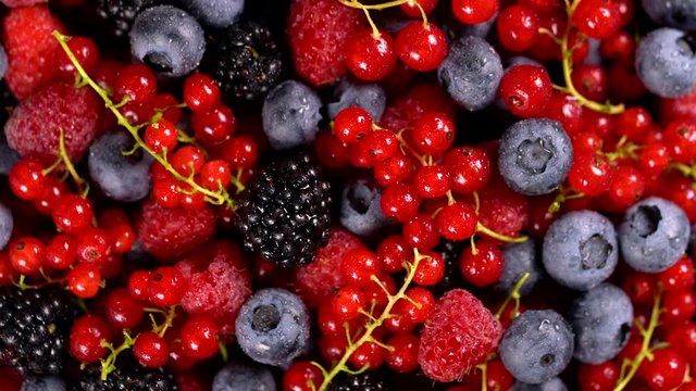 Fresh raspberries, blackberries, redcurrant and blueberries