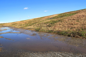 雨上がりの早春の江戸川土手風景