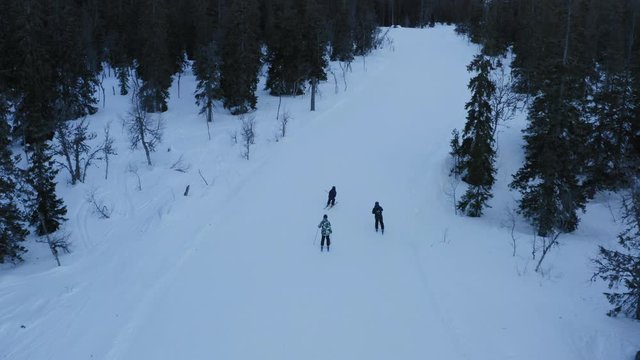 skiers on the piste among white snow pine trees Norway Trysil