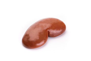 One pork kidney isolated on a white background.