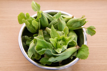 ふきのとう 蕗の薹 春の味覚 山菜