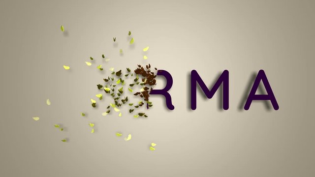 Name is Norma. The female name on a light background disappears flying in butterflies. Minimal graphics. 4k
