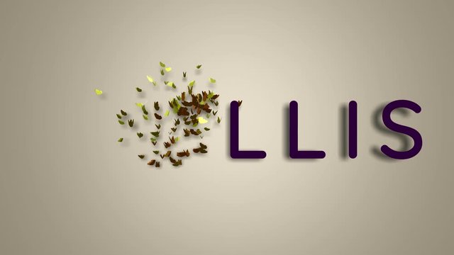 Name is Phyllis. The female name on a light background disappears flying in butterflies. Minimal graphics. 4k