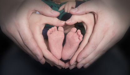 Hands of adults hold small baby feet
