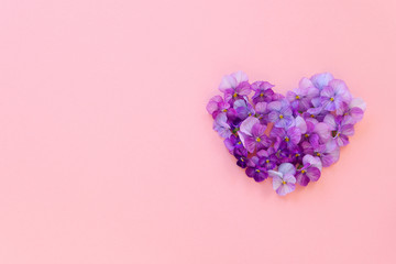 ビオラの花のハート