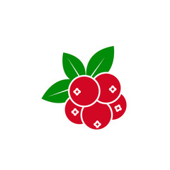 Cranberry icon design isolated on white background. Vector illustration