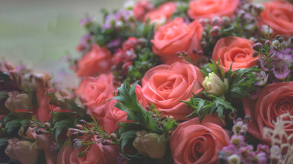Blurred Floral background of blooming roses, Soft coral pink rose bunch on light background High key lighting