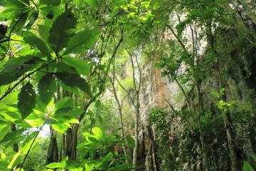  Impressive tropical vegetation natural rock formation Cuevas del Indio in El Morro La Guairita