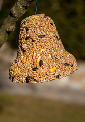 Bell from various grains, a delicacy for all the birds in the garden