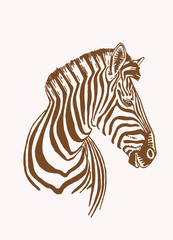 Fototapeta na wymiar Graphical portrait of zebra ,vector sepia illustration