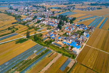 Aerial shooting of China's rural production and life scenes