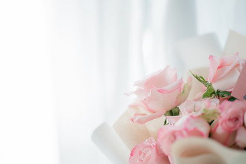 Nature of pink flower on blurred background using as summer background natural flower plants landscape, ecology, fresh wallpaper