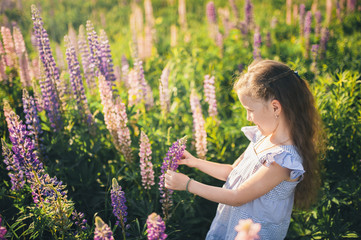 Cute girl in a field of purple flowers