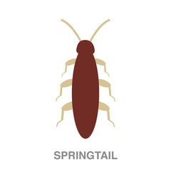 springtail flat icon on white transparent background. You can be used black ant icon for several purposes.	