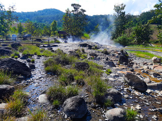 Hot spring in the middle of the forest