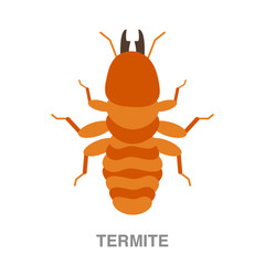 termite flat icon on white transparent background. You can be used black ant icon for several purposes.	