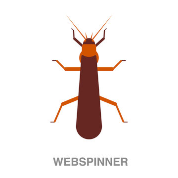 webspinner flat icon on white transparent background. You can be used black ant icon for several purposes.	