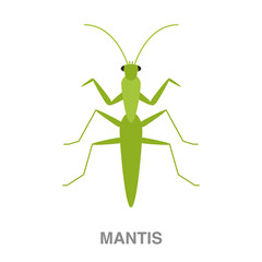 mantis flat icon on white transparent background. You can be used black ant icon for several purposes.	