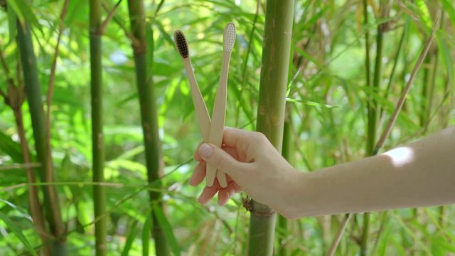 A woman's hand shows two wooden toothbrushes made out of bamboo. Concept of eco friendly zero waste bamboo products