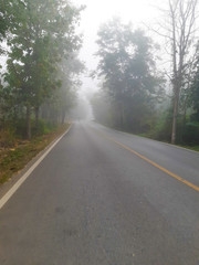 The path on a foggy day