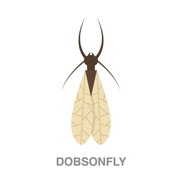 dobsonfly flat icon on white transparent background. You can be used black ant icon for several purposes.	
