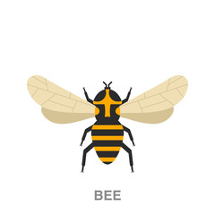 bee flat icon on white transparent background. You can be used black ant icon for several purposes.	