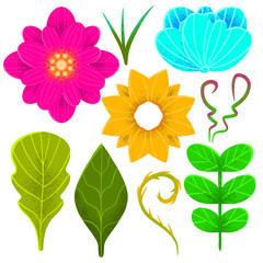 Set of flower buds and leaves. Illustration with bright plants for creating backgrounds, logos, floral arrangements.