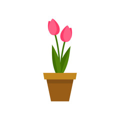 Vector illustration with flower pot and tulip