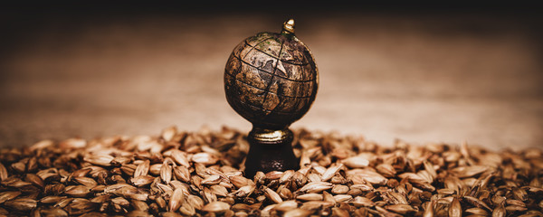 globe on malted barley, ingredient for brewing beer in a brewery, panorama