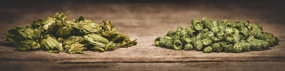Dried green hop pellets and hop cones on wooden ground, ingredient for a beer plant, panorama