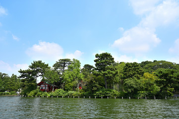 真夏の洗足池　東京都大田区