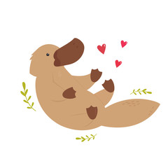 A Cute Australian platypus Animal character design