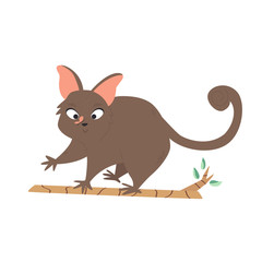 A Cute Australian possum. Animal character design.