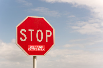Traffic Stop sign altered, presumably by a vegan or vegetarian, with a sticker to read 
