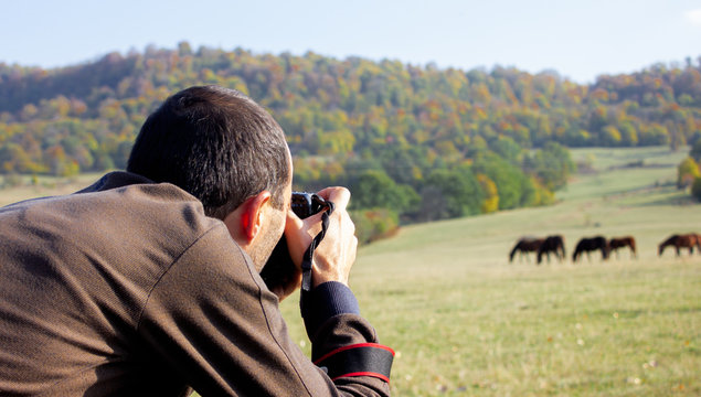 photographer takes pictures of horses on nature