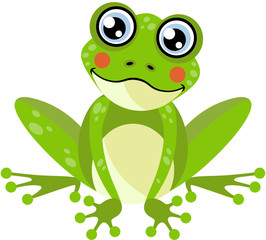 Cute frog isolated on white