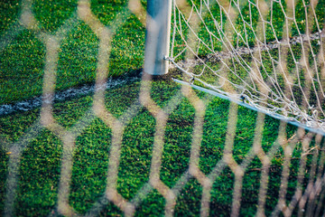 White soccer net, green grass in background, football background photo