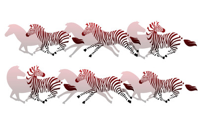 Fototapeta na wymiar Abstract running zebra silhouette flat vector illustration on white background