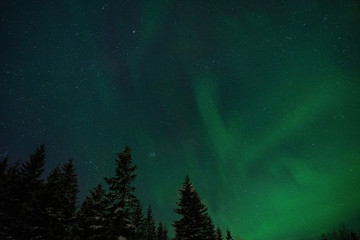 Naklejka premium Night sky with aurora borealis lights. Arctic circle of northern Norway.
