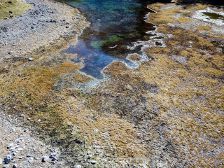 A drone shot of a drying out lake in an Alpine valley in Austria. Green Lake is drying out in autumn. There is a dense forest along the lake's line. The lake has blackish color. Circle of nature