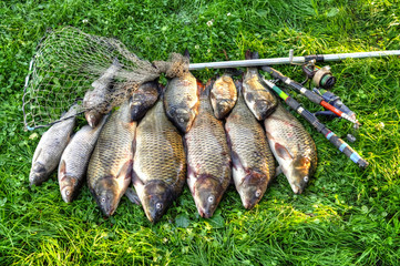 Close-up of fly fishing rod with reel and catched fish in a boat