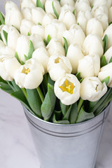 large bouquet of white tulips on a white background