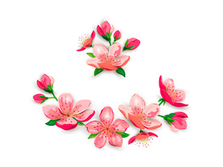 Blossom sakura, cherry flowers vector illustration set. Design elements isolated on white background.