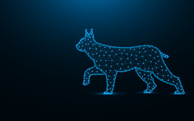 Lynx low poly design, wild cat wireframe mesh polygonal vector illustration made from points and lines on dark blue background