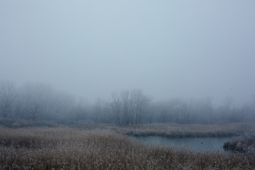 Obraz na płótnie Canvas cold misty and foggy landscape, river and forest