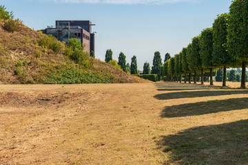 A row of pruned trees on a dried up meadow, with the ruin of an old coal bunker in the background, seen in the Nordsternpark, Gelsenkirchen, North Rhine-Westfalia, Germany